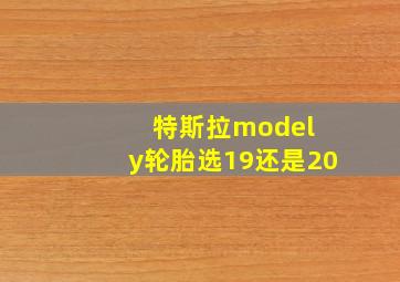 特斯拉model y轮胎选19还是20